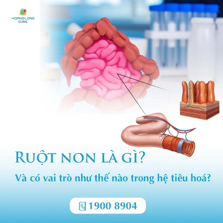 Nguyên nhân và biểu hiện đặc điểm của ruột non 