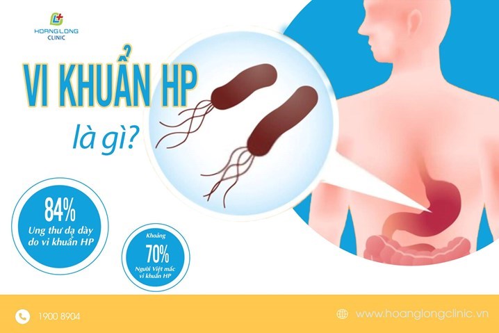 Vi khuẩn H.P là gì?