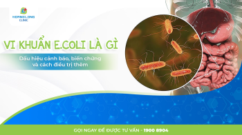 Vi khuẩn E.coli là gì? dấu hiệu cảnh báo, biến chứng và cách điều trị