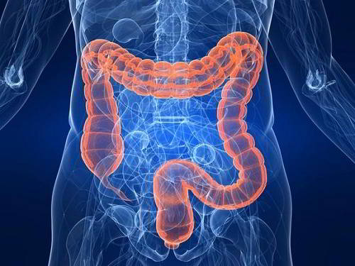 Tác động của bệnh Crohn đến chất lượng cuộc sống của bệnh nhân?
